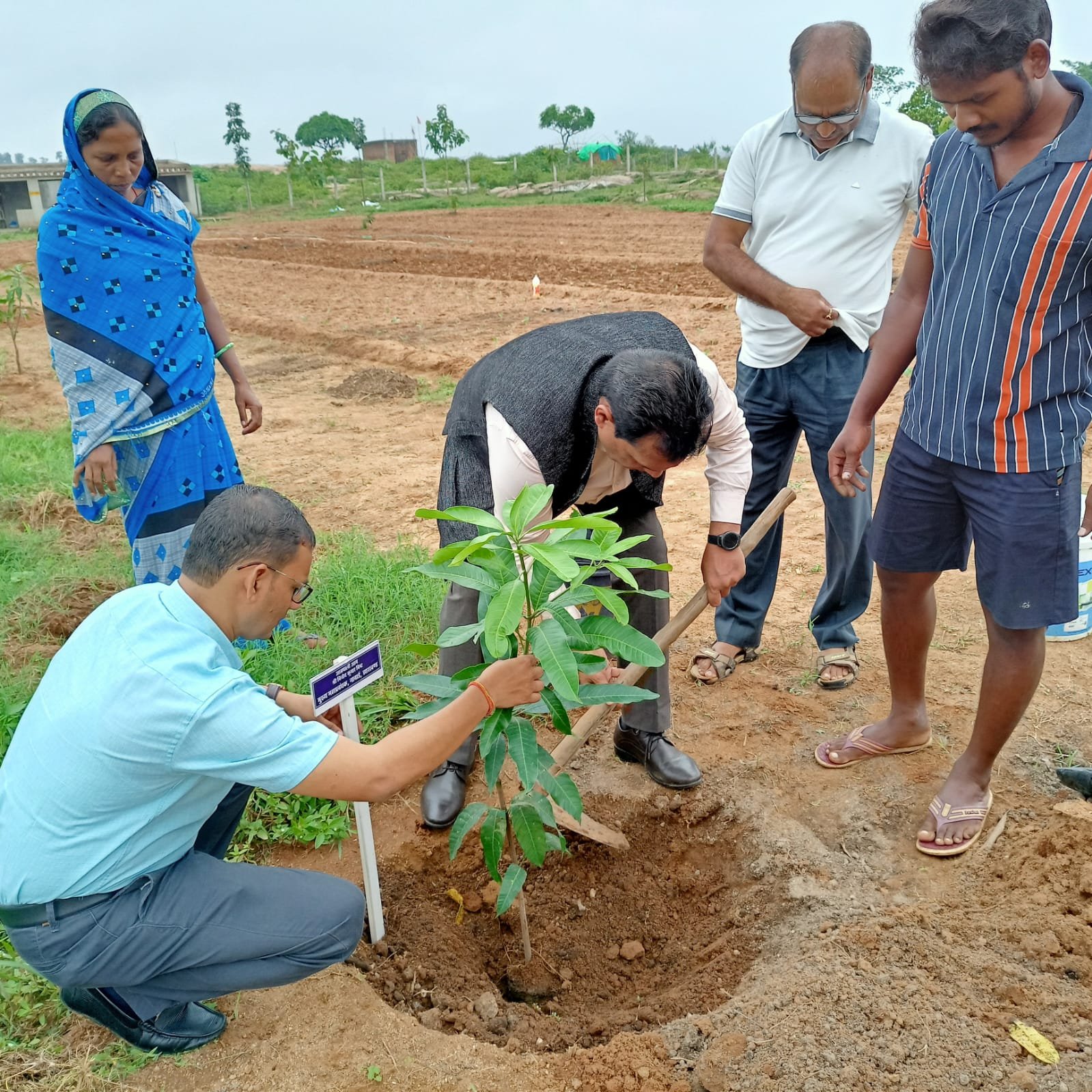 Forest Protection Committee