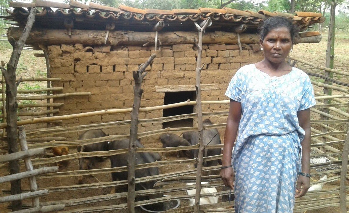Livelihood Development