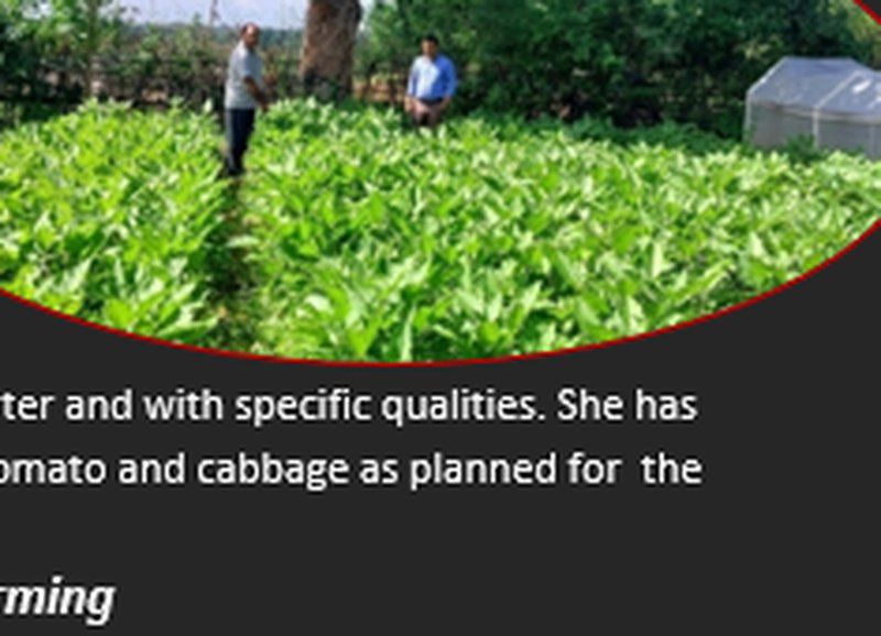 Fulmati Devi Vegetable Trellis Farm Inspection