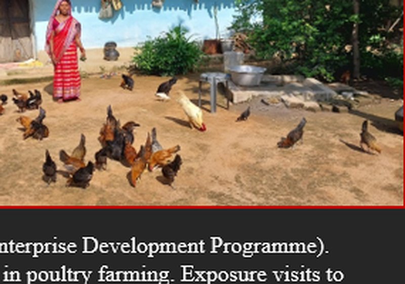 Urmila Devi in Backyard Poultry Farm